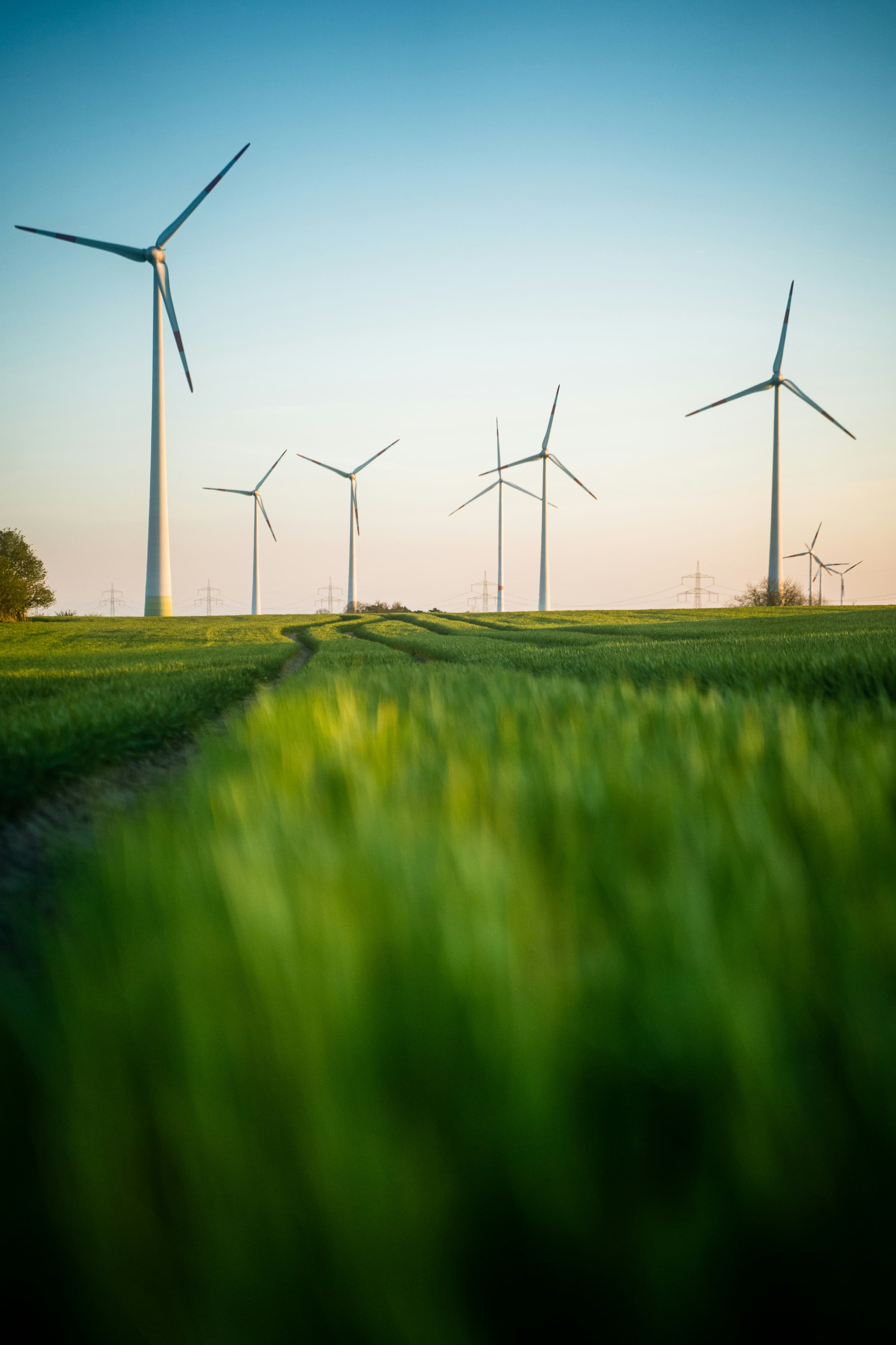 Wind turbines in a green field at sunset
