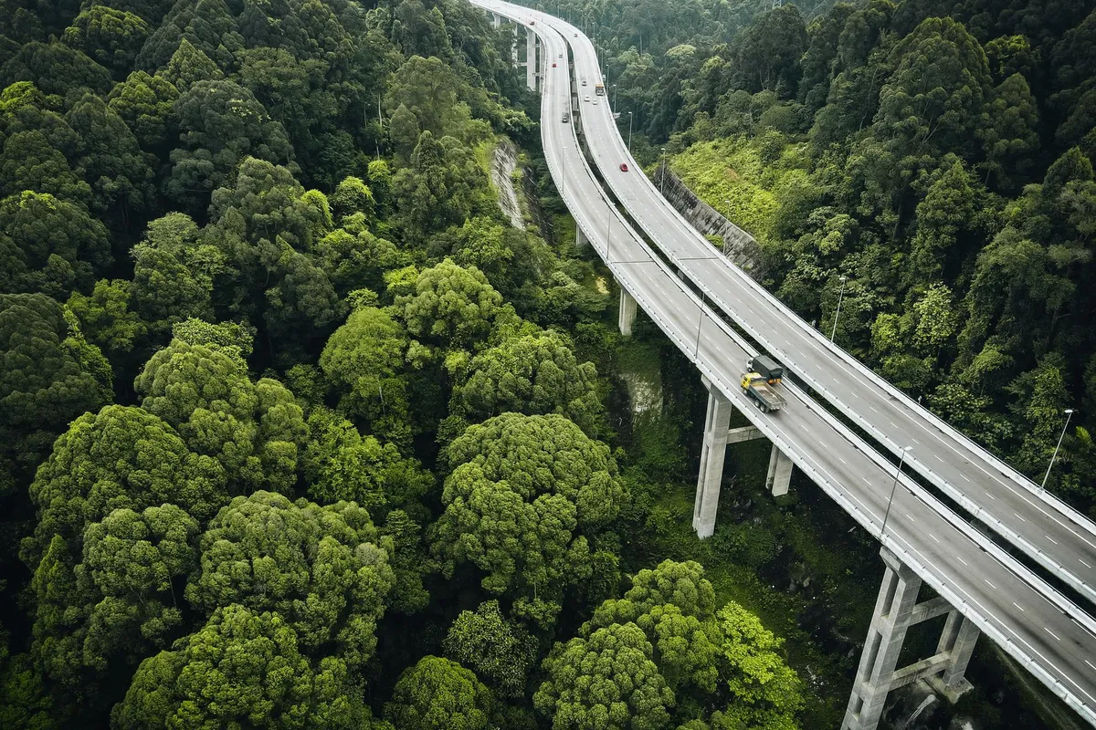 Elevated highway curving through a dense green forest