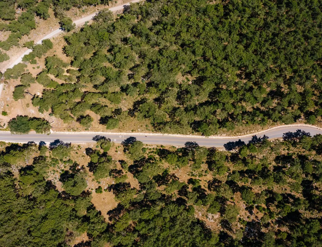 Aerial view of a road cutting through a dry, tree-covered landscape