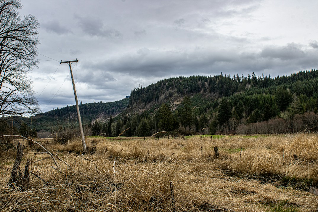 Rural hillside with a leaning power pole under a cloudy sky